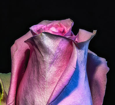 New York Fine Art Photography Awards