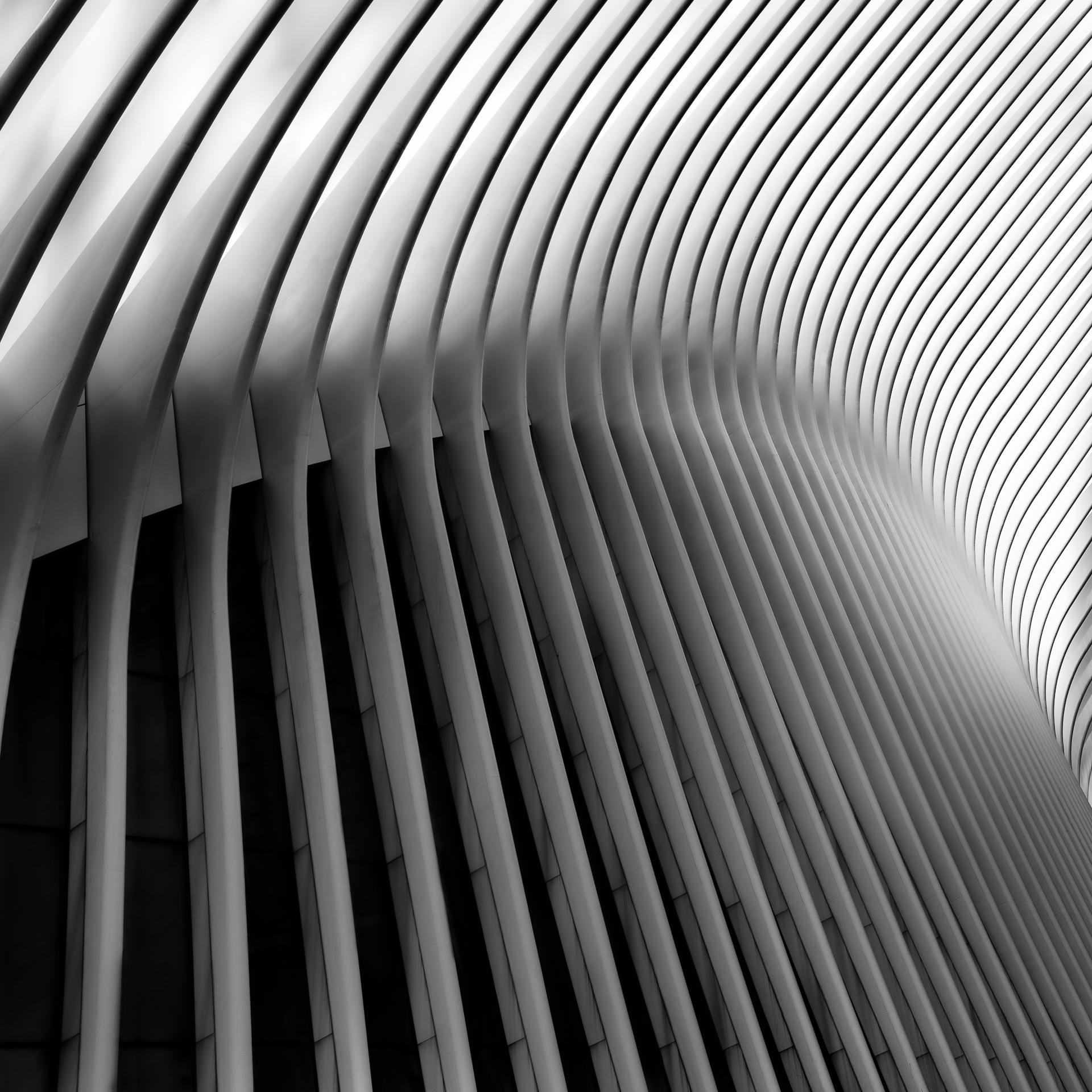 New York Photography Awards Winner - GEOTECTURE