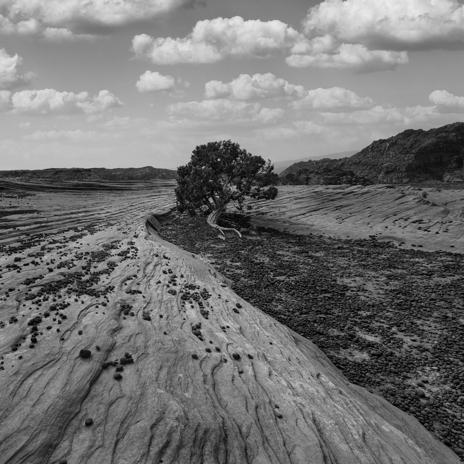New York Photography Awards Winner - SAND CANYON