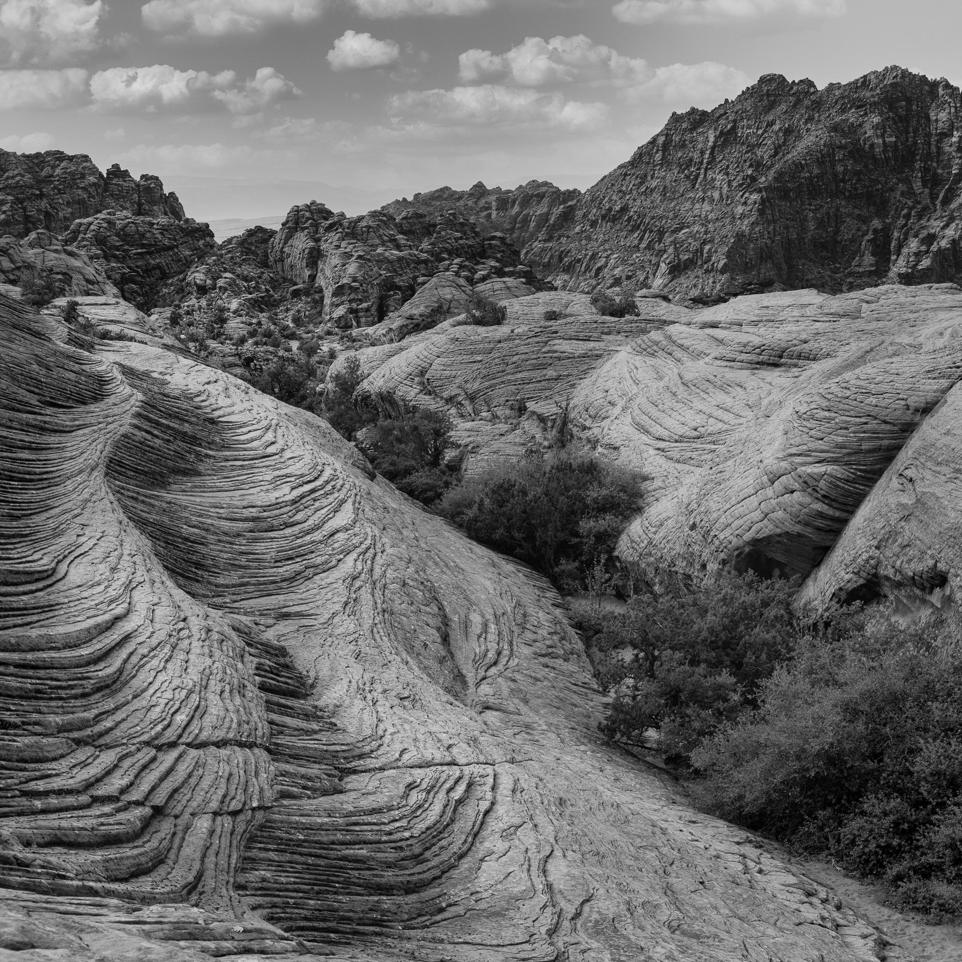 New York Photography Awards Winner - Rock Dunes