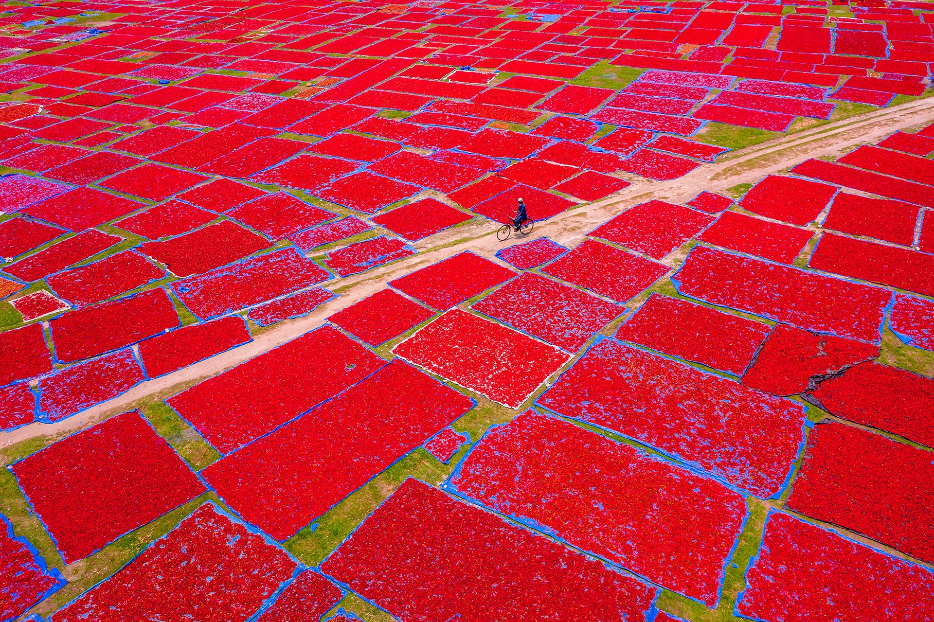 New York Photography Awards Winner - Sailor of Red Chilies Sea
