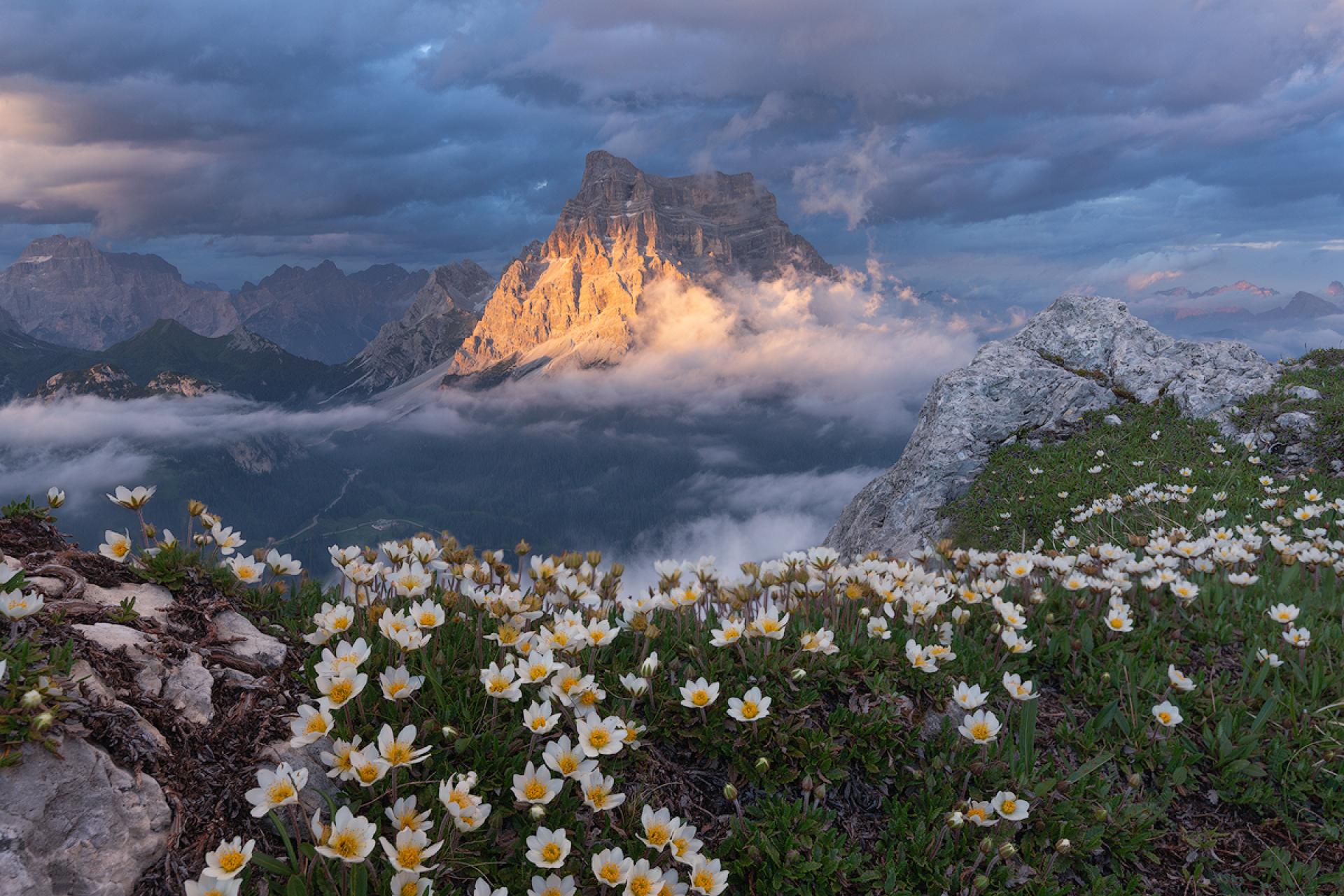 New York Photography Awards Winner - Enchantment