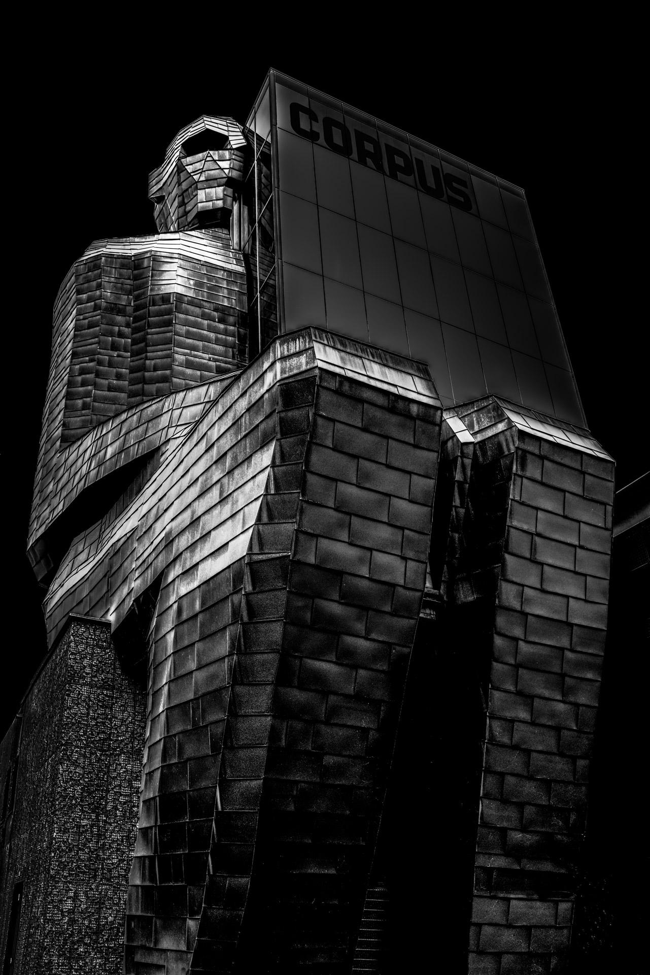 New York Photography Awards Winner - Corpus 