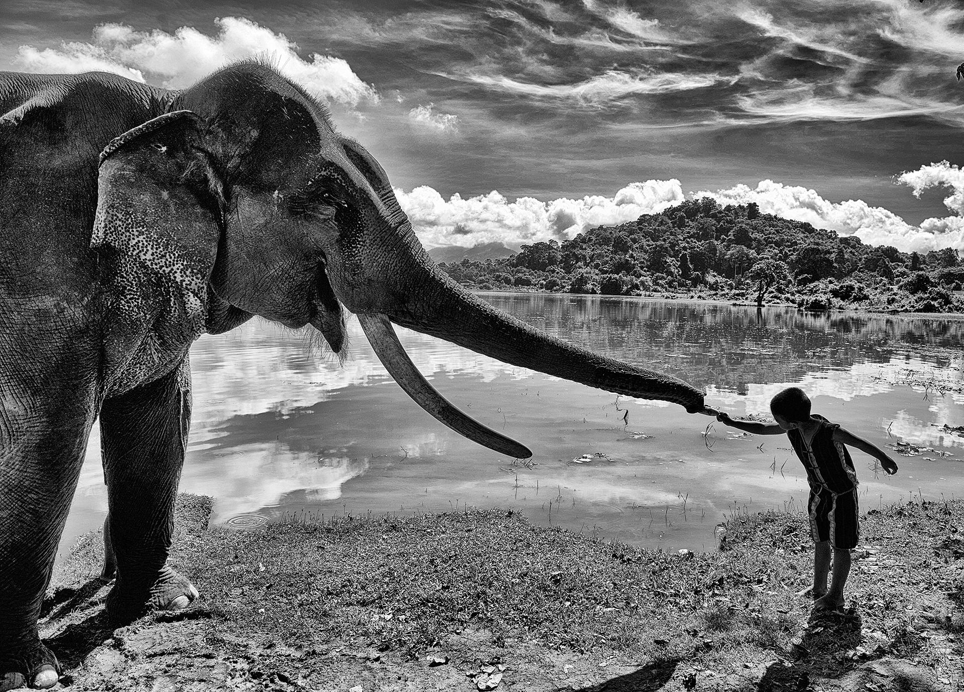 New York Photography Awards Winner - Connection