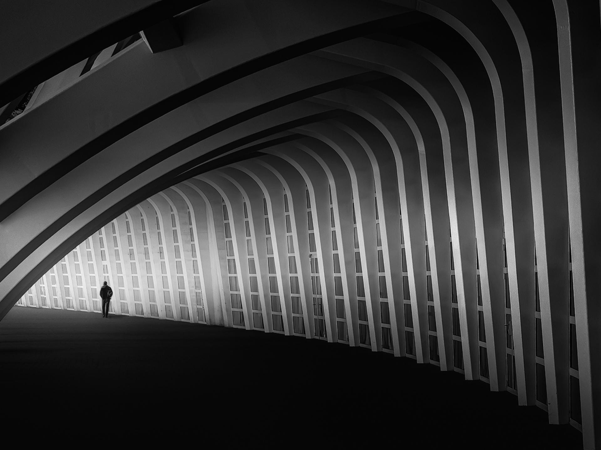 New York Photography Awards Winner - Interactions