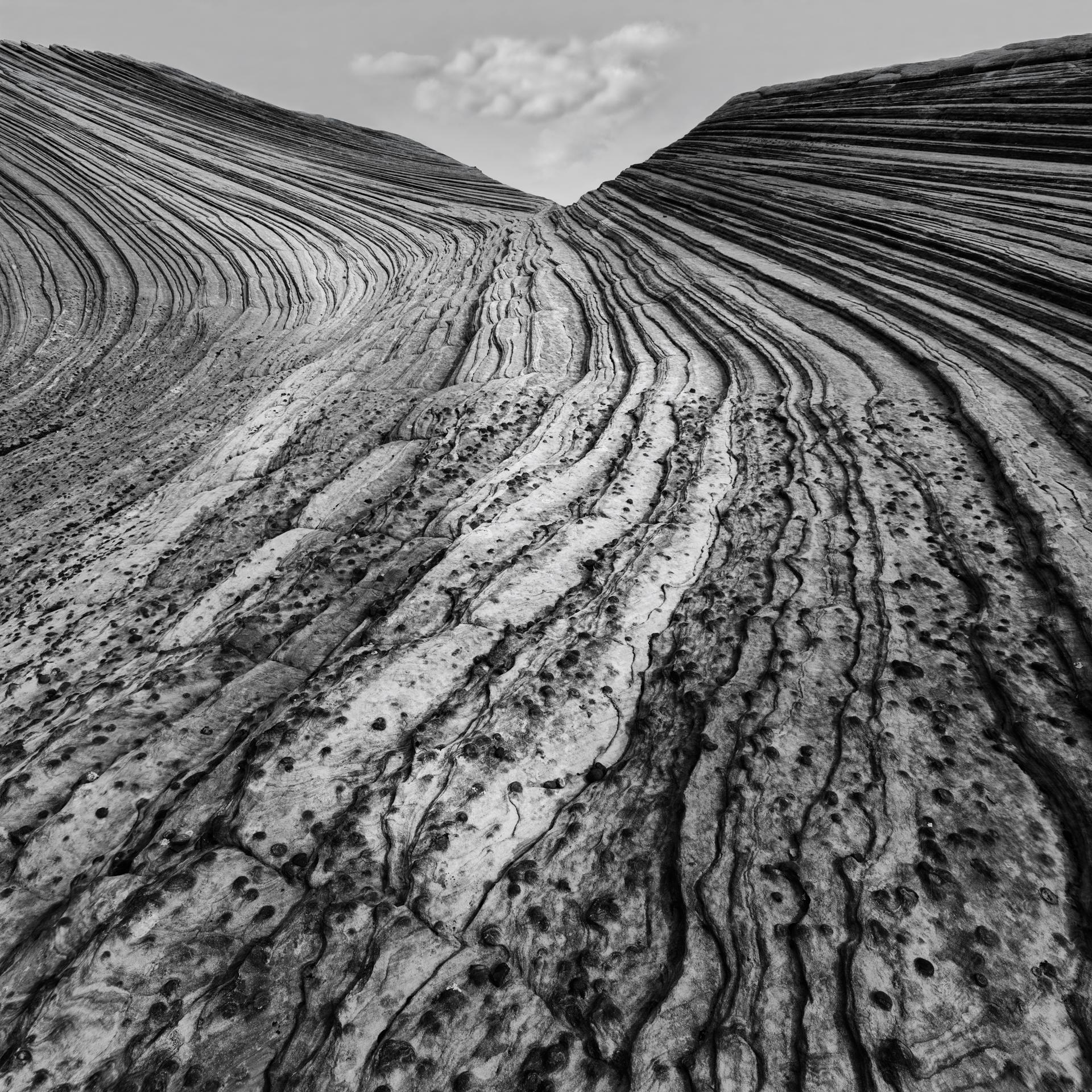 New York Photography Awards Winner - TSEKOOH