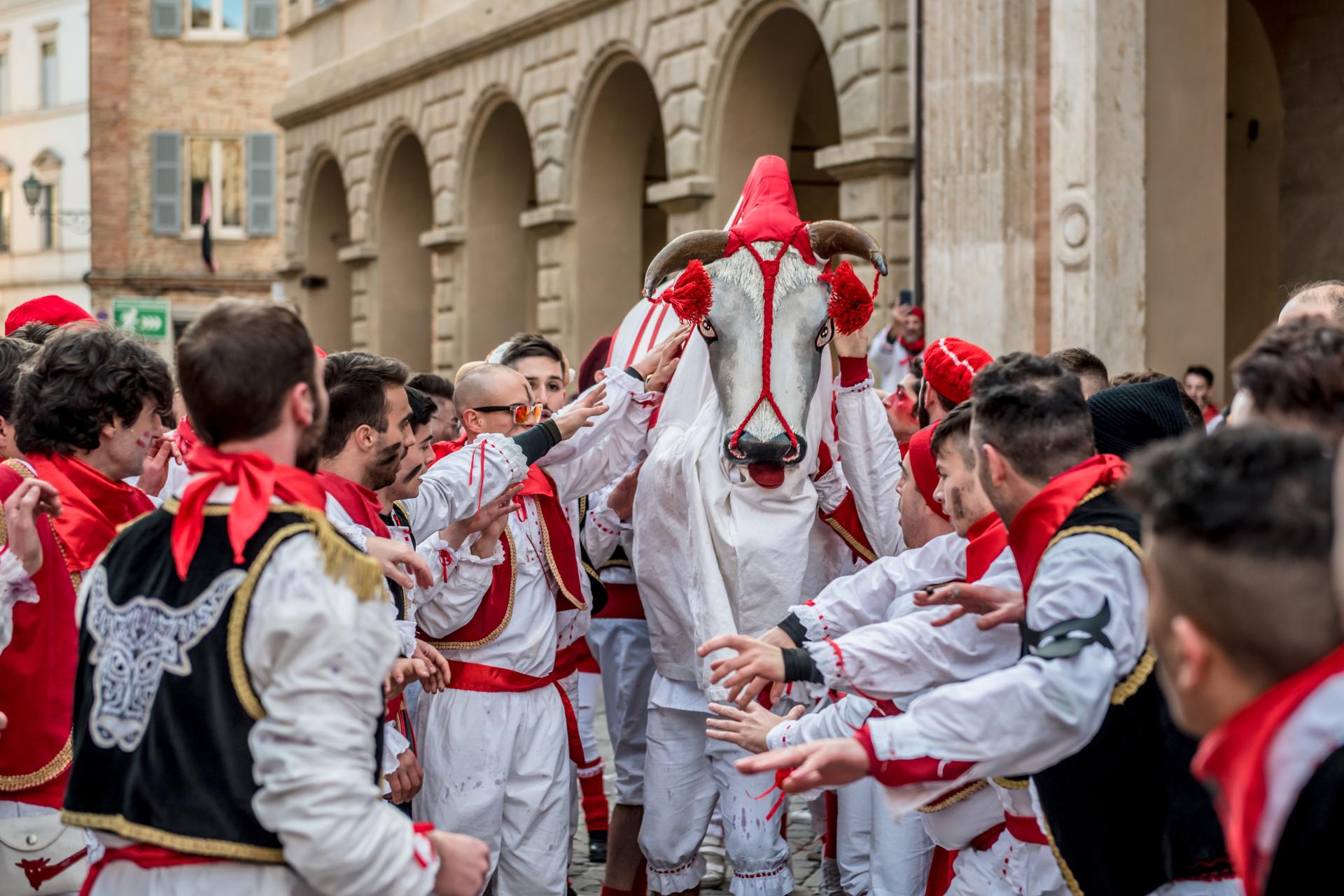 New York Photography Awards Winner - Carnevale Storico di Offida: Bove Finto ~ Vlurd