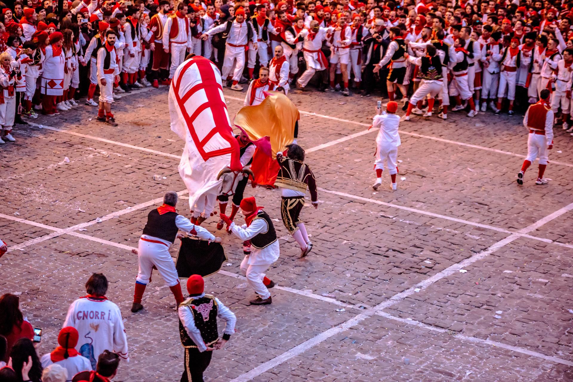 New York Photography Awards Winner - Carnevale Storico di Offida: Bove Finto ~ Vlurd