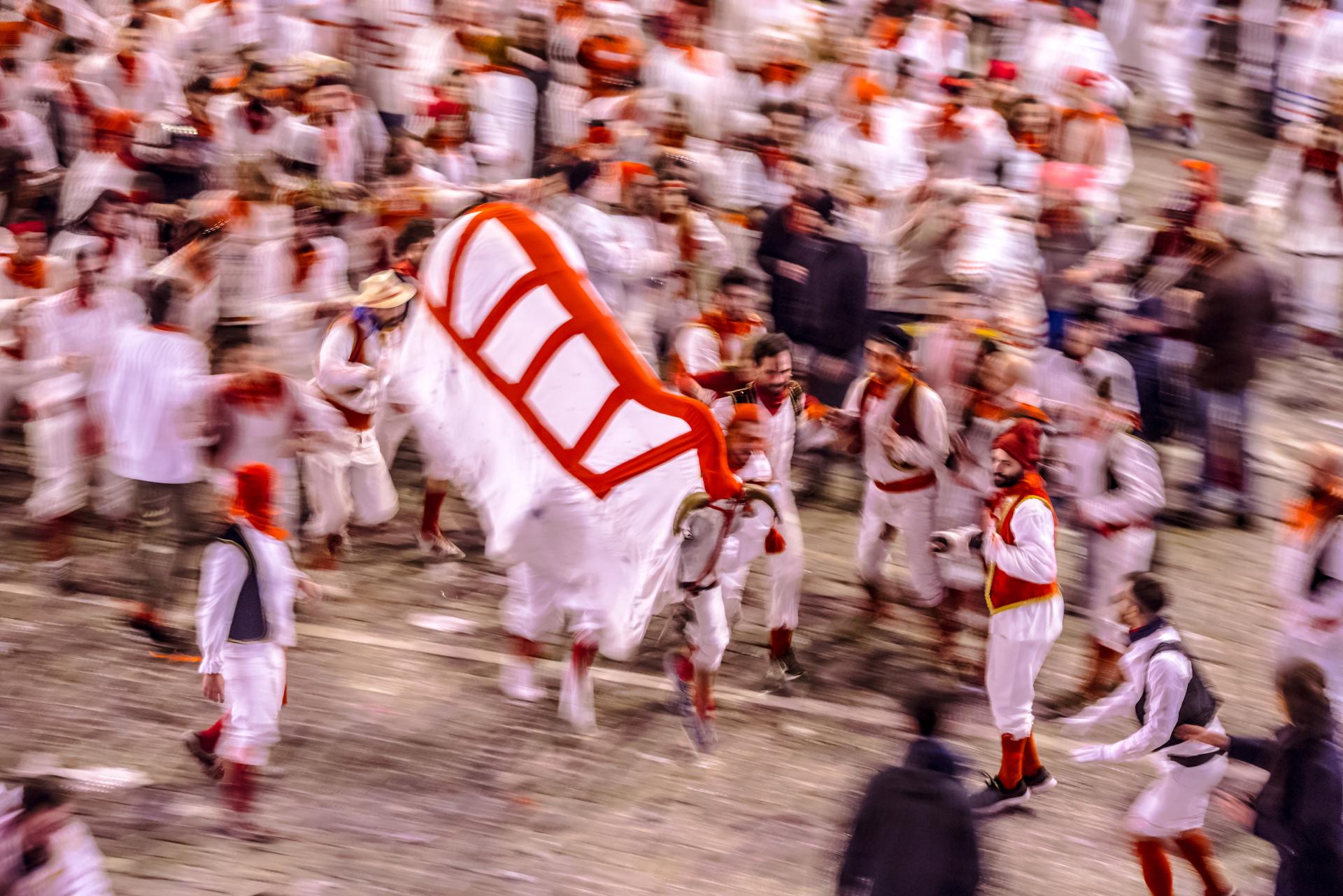 New York Photography Awards Winner - Carnevale Storico di Offida: Bove Finto ~ Vlurd