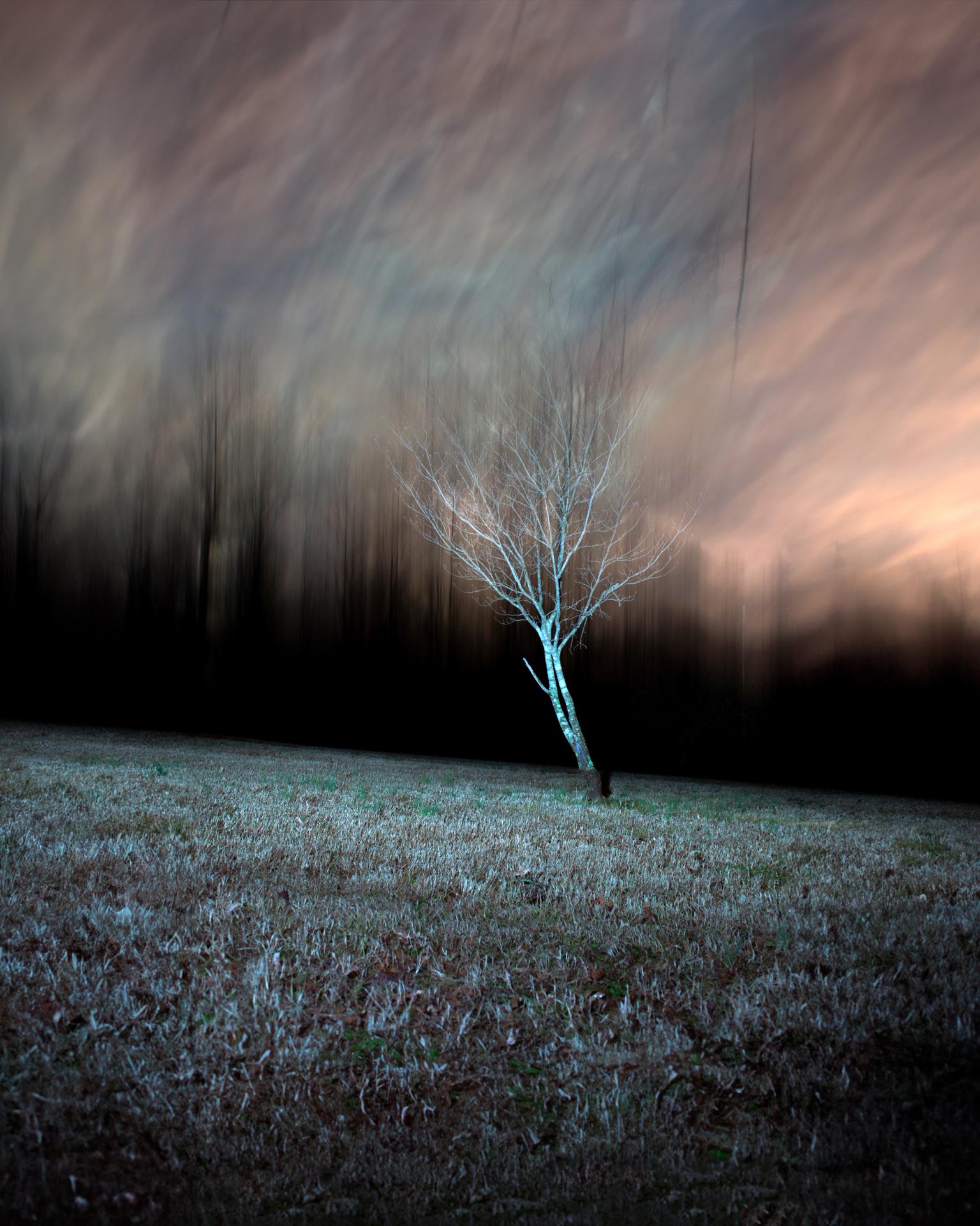 New York Photography Awards Winner - Echoes of Darkness