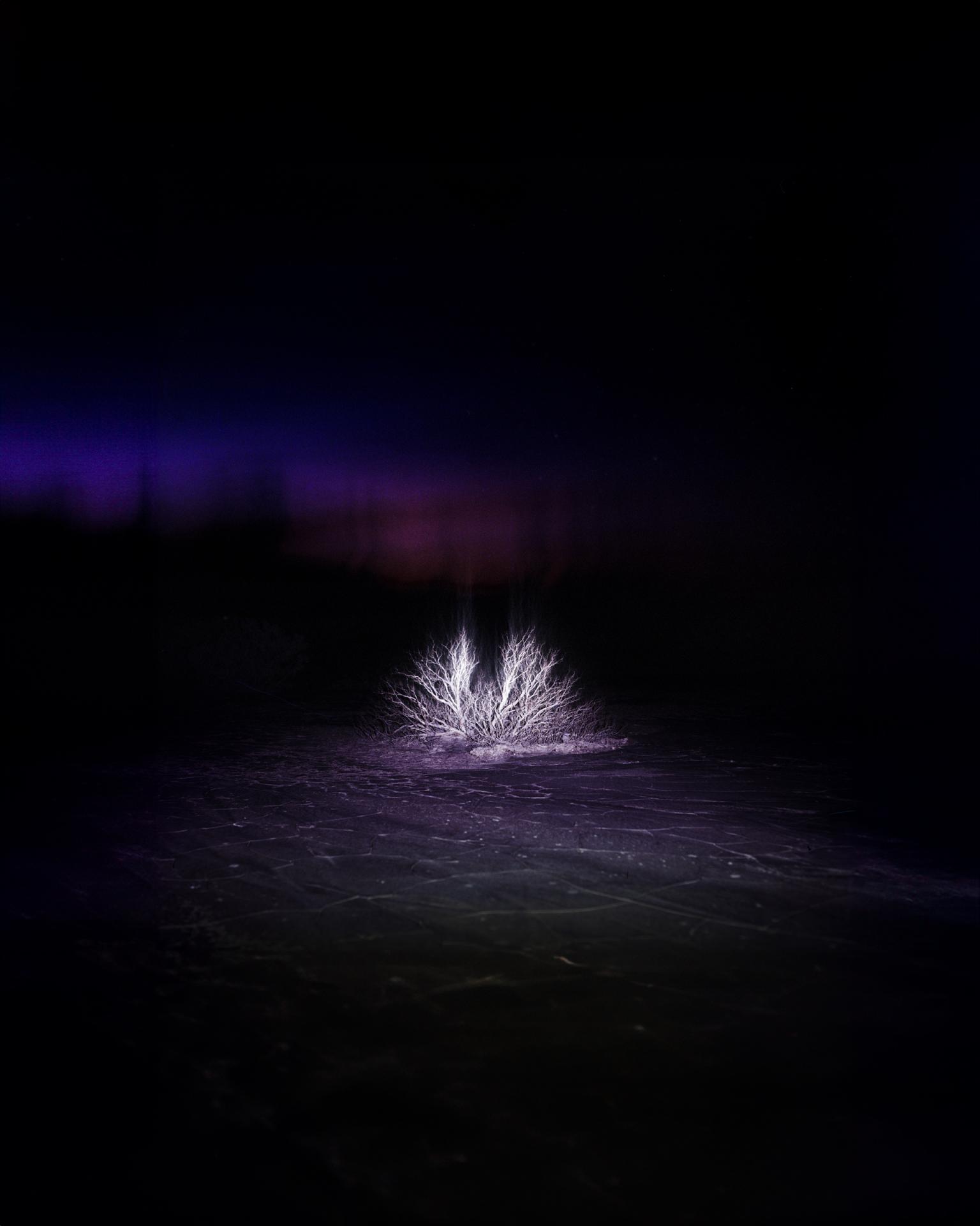New York Photography Awards Winner - Echoes of Darkness