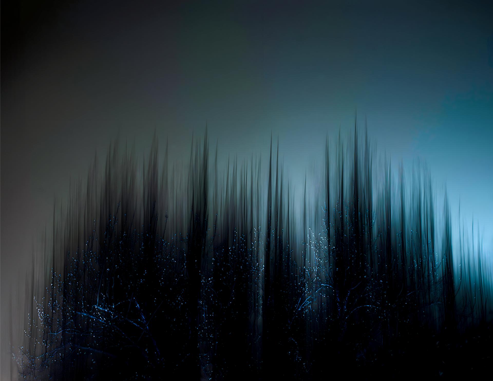 New York Photography Awards Winner - Echoes of Darkness