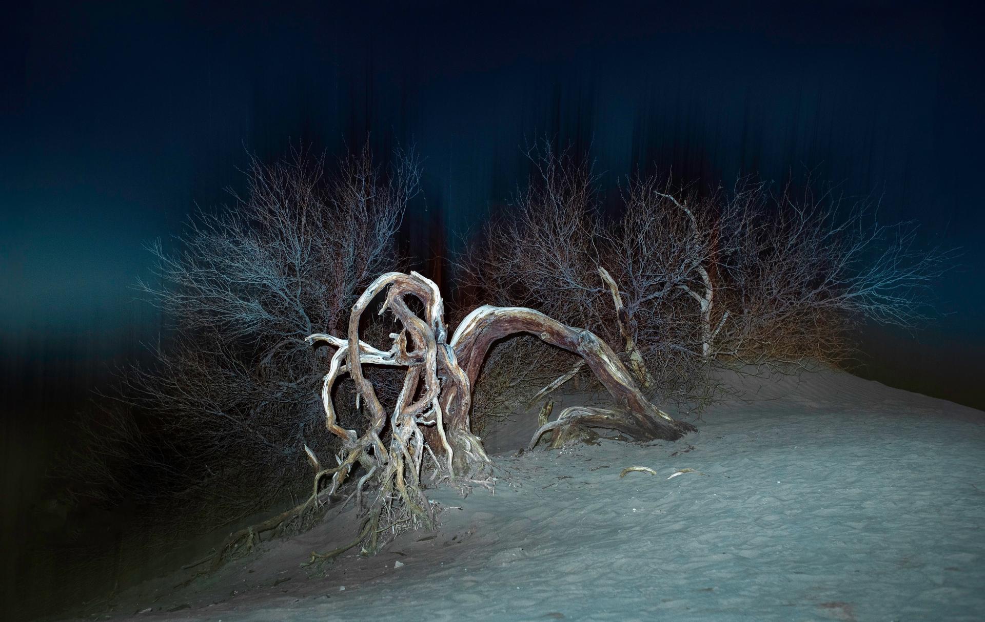 New York Photography Awards Winner - Echoes of Darkness