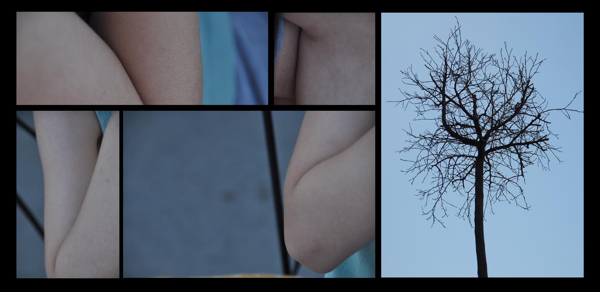 New York Photography Awards Winner - Subtle Connection