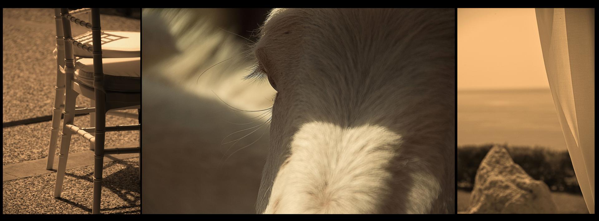 New York Photography Awards Winner - Subtle Connection
