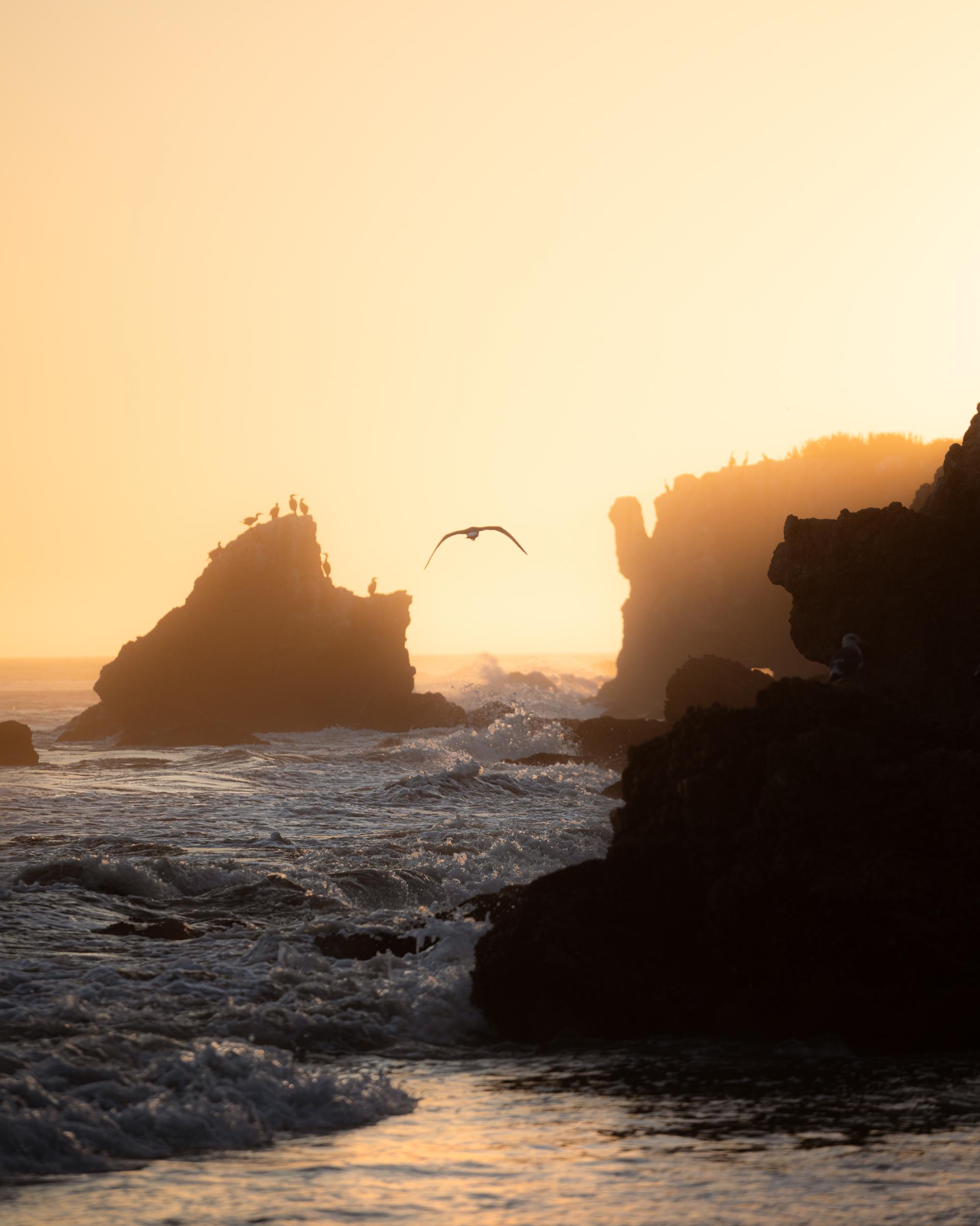 New York Photography Awards Winner - Wings at sunset