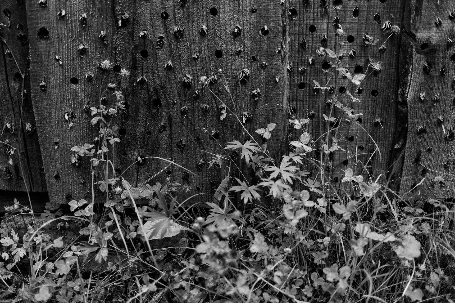 New York Photography Awards Winner - Saturday Night in The Kingdom of Gloom