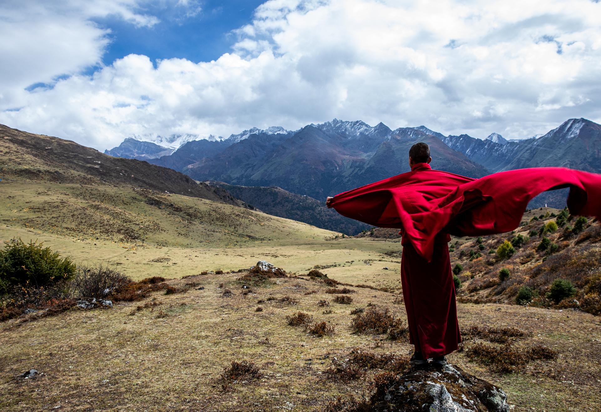 New York Photography Awards Winner - Freedom
